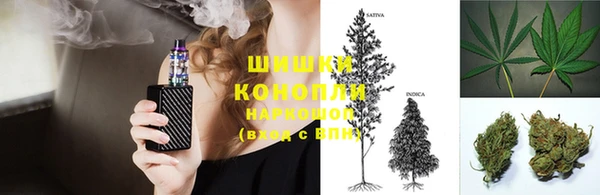дурь Алзамай