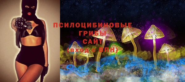 дурь Алзамай