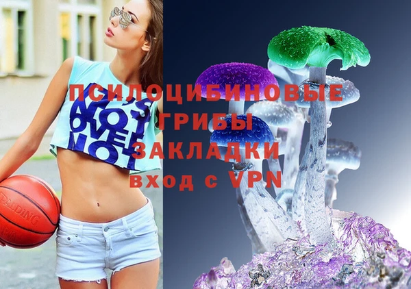 дурь Алзамай
