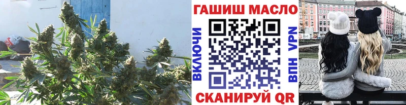 купить наркотик  Троицк  omg ONION  ТГК концентрат 