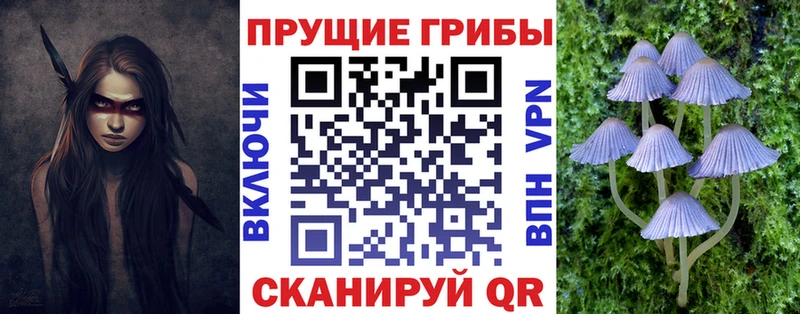 MEGA tor  дарнет шоп  Троицк  Псилоцибиновые грибы Magic Shrooms 